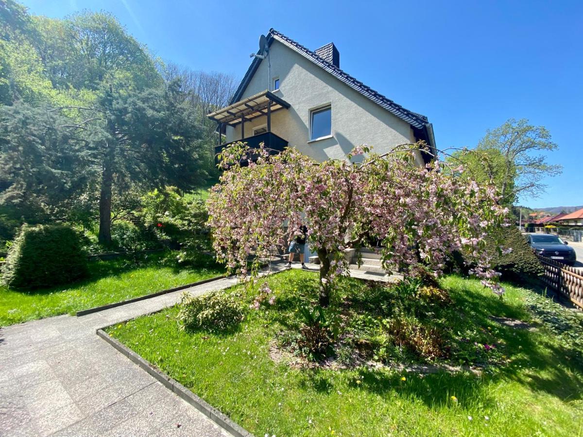 Traumhaus Mit Sauna Und Kamin Ferienhaus
