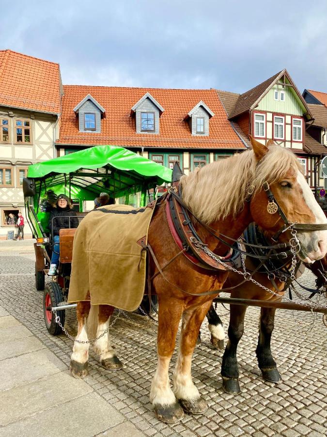 Traumhaus Mit Sauna Und Kamin * Wernigerode